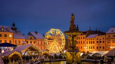 Bitcoin: Chancen und Risiken im aktuellen Markt verstehen