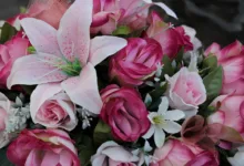 Künstliche Intelligenz von Alibaba: Krypto-Vorhersagen bis 2026