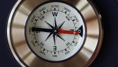 Dogecoin als Wegweiser für die kommende Memecoin-Saison