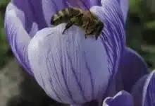 Schwacher Dollar: Wie Bitcoin davon profitieren könnte