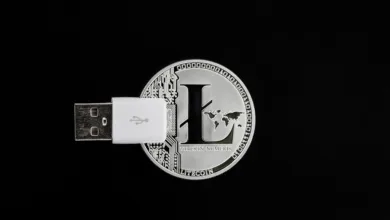 XRP Ledger überholt Solana bei tokenisierten Echtwerten