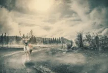 Bitcoin im Fokus: Chance oder herausfordernde Falle für Anleger?