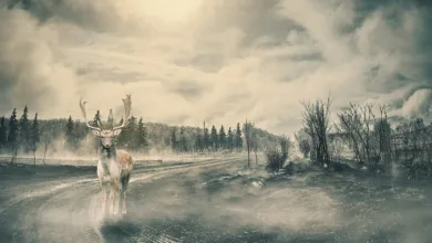 Bitcoin im Fokus: Chance oder herausfordernde Falle für Anleger?