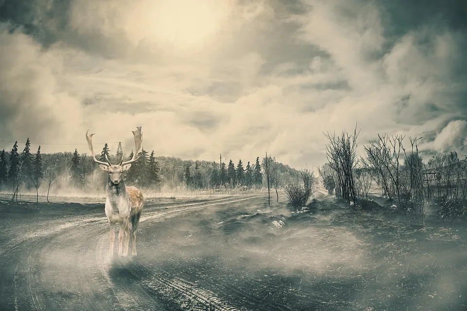 Bitcoin im Fokus: Chance oder herausfordernde Falle für Anleger?