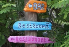 XRP: Wegweiser zu Chancen oder Risiken für Investoren