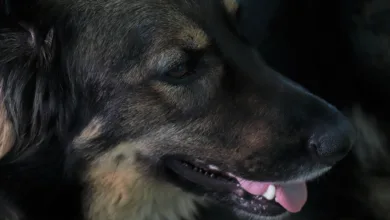 Bitcoin im Fokus: Jetzt klug HODLn oder verlieren?