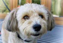 Bithumb-Fall: Ein Weckruf für Krypto-Börsen und Vertrauen