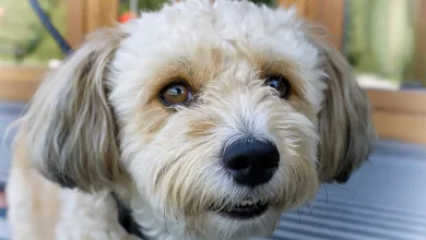 Bithumb-Fall: Ein Weckruf für Krypto-Börsen und Vertrauen