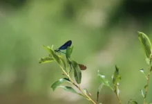 Klarheit für Anleger: Urteil stärkt Krypto-Insolvenzen in UK