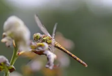 EU plant umfassendes Verbot von Krypto-Transaktionen mit Russland