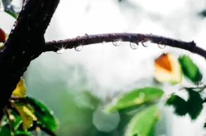 Kryptomärkte im Aufschwung: Bitcoin, Ethereum & Pepeto glänzen