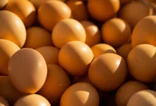 Binance wandelt 200 Mio. USD in Bitcoin – Markt bleibt stabil