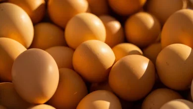 Binance wandelt 200 Mio. USD in Bitcoin – Markt bleibt stabil