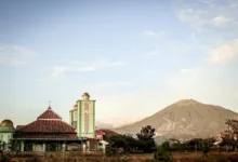 Neue Memecoins unter der Lupe: Pippin, Mubarak und BAN im Fokus