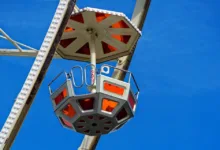 Dogecoin: Hype oder Gefahr? Der Einfluss von Elon Musk