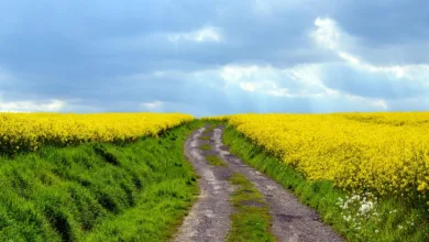 Bitcoin unter Druck: Experten warnen vor weiterer Talfahrt