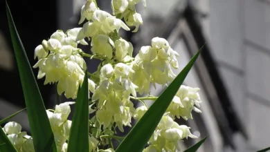 UBS wechselt Kurs: Krypto-Angebote für wohlhabende Kunden