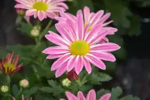 Bitcoin-Kurs im Fokus: Wichtige Ereignisse beeinflussen den Markt