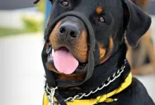 Krypto-Märkte im Aufschwung: Risiken bleiben dennoch verborgen