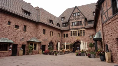 XRP im Fokus: Können neue Regulierung und Utility den Kurs beflügeln?