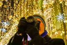 Decred-Kurs steigt stabil: Neue Staatsausgabenpolitik aktiviert