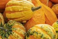 Bitcoin stürzt unter 80 000 Dollar – Markt unter Druck