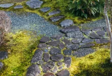 Bitcoin-Crash auf Null: Realität oder bloße Angst?