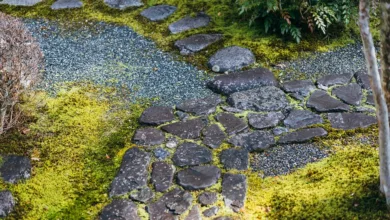 Bitcoin-Crash auf Null: Realität oder bloße Angst?