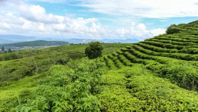 Datenschutz als Schlüssel zur breiteren Nutzung von Krypto