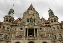 Pippin (PIPPIN): Rekordgewinne und neues Handelsvolumen