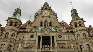 Pippin (PIPPIN): Rekordgewinne und neues Handelsvolumen