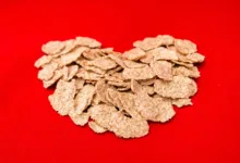 Orca-Kurs explodiert: Nutzer zeigen neues Vertrauen in Token