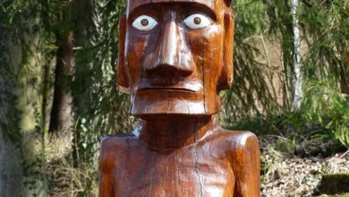 Bitcoin-Risiko oder Chance? Ein Blick auf die Marktkräfte