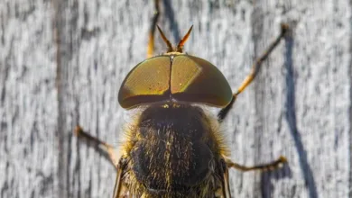 Ethereum bewegt sich zwischen 1.902 und 2.051 USD: Analyse der Lage