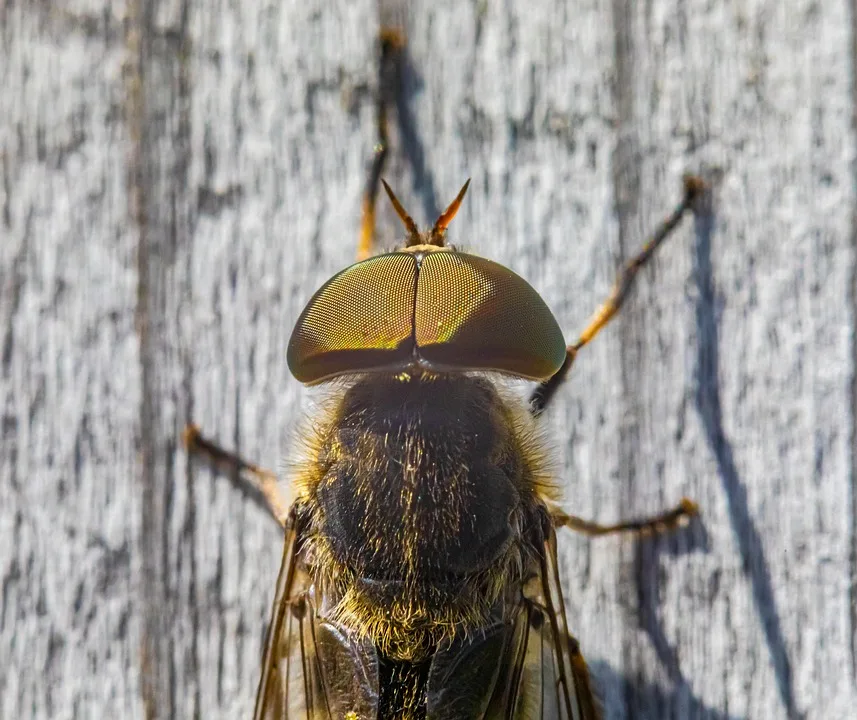 Ethereum bewegt sich zwischen 1.902 und 2.051 USD: Analyse der Lage