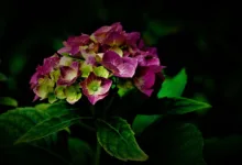 Bitcoin-Kursrutsch: 45 Prozent Verlust in vier Monaten