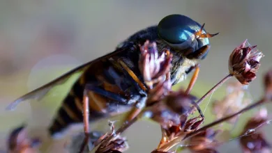 Kryptowährungen unter Druck: XRP und Solana stechen hervor