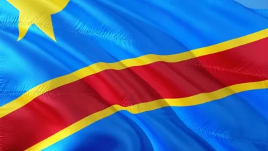 Krypto-Krise: Demokraten äußern Korruptionsvorwürfe gegen Trump