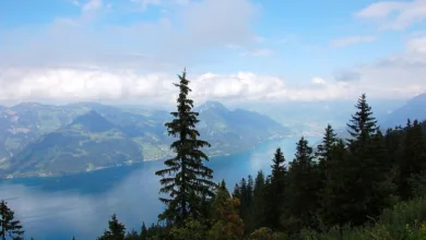 Krypto-Investitionen: Millionen für Bitcoin-Mining in der Region