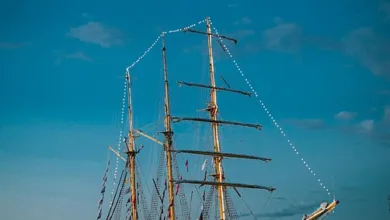 Kris Marszalek investiert in AI.com: Ein neuer KI-Dienst startet