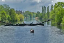 Stabile Kryptowährungen: GENIUS Act verändert die Bankenlandschaft