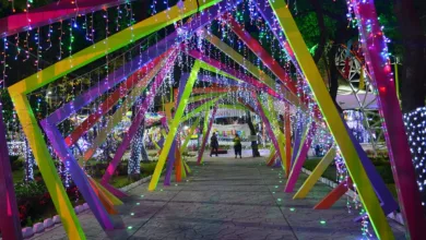 Crypto.com setzt mit 70 Millionen auf KI-Domain AI.com