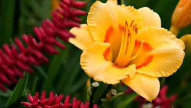 Kryptomarkt in Angst: Tägliche Höhen und Tiefen beobachten