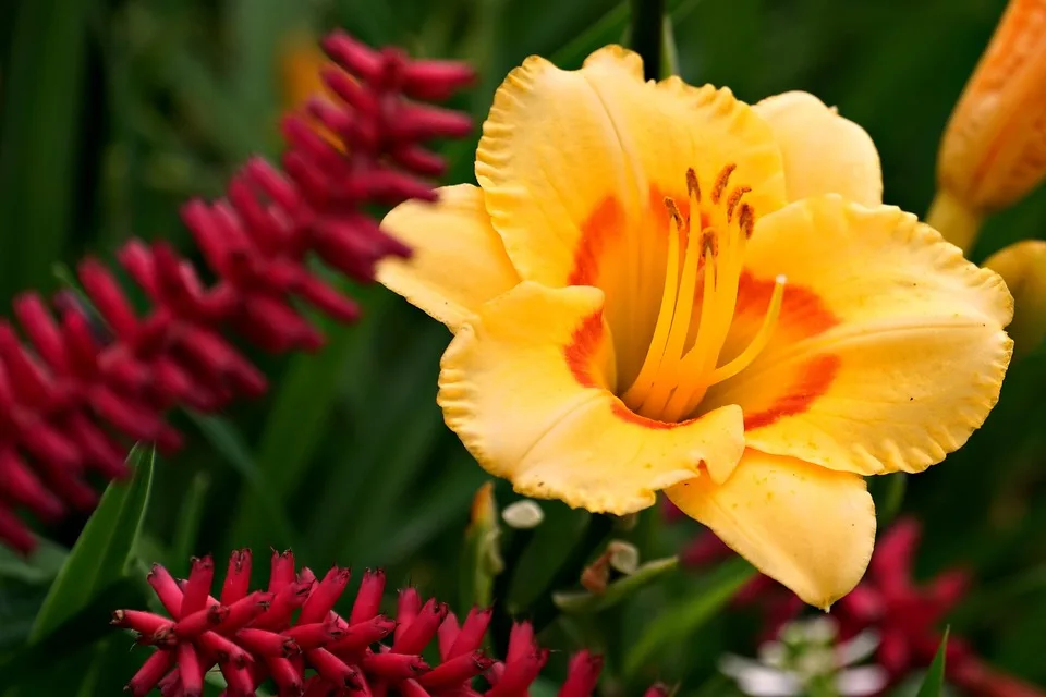 Kryptomarkt in Angst: Tägliche Höhen und Tiefen beobachten