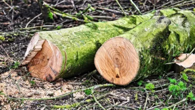 Bitcoin-Absturz: Ein Jahr Verlust und Milliarden-Liquidationen