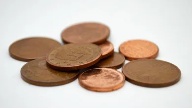 ChainPatrol: 5,5 Millionen Euro für mehr Krypto-Sicherheit