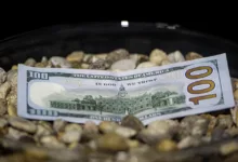 Pepeto presale: 7 Millionen Dollar und 100x Prognosen