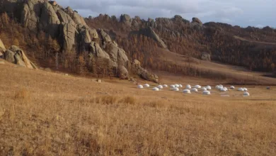 Bitcoin überholt Gold: Kiyosakis überraschende Entscheidung