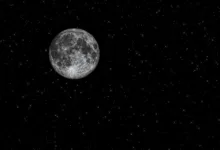 Stellar im Sinkflug: Vertrauen trotz Kurseinbruch bleibt