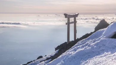 Der Aufstieg von KI in der Krypto-Welt: Chancen und Risiken